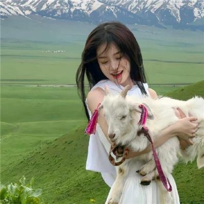 爱情白皮书