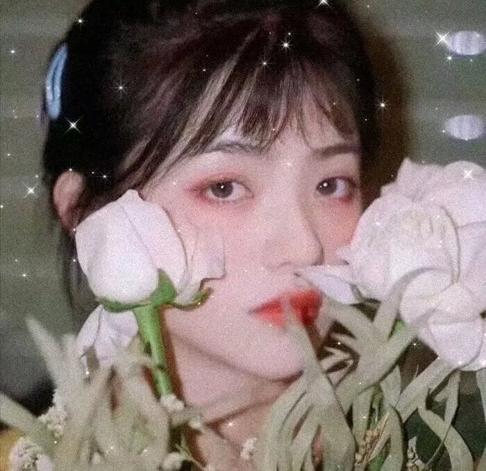 仙人掌花